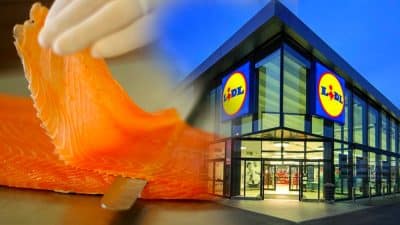 Ce saumon fumé trompe tous les clients chez Lidl selon 60 Millions de consommateurs