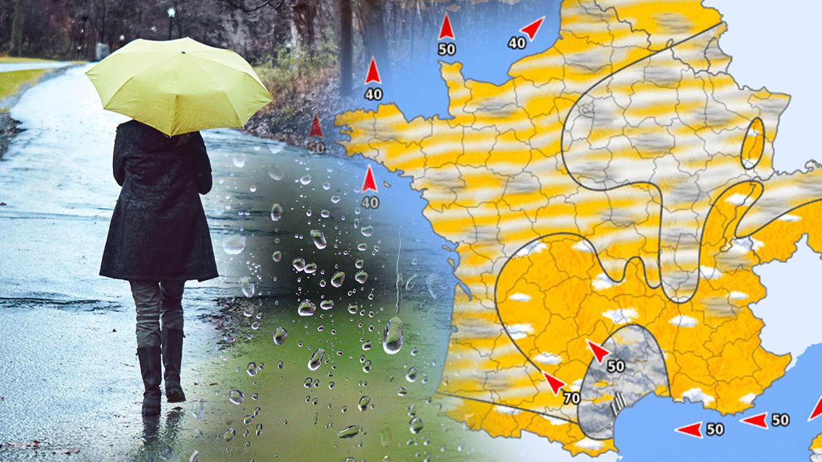 Météo : douceur, pluie… voici les prévisions pour cette fin de semaine