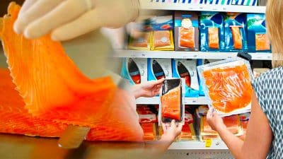 Ce saumon fumé contaminé par la Listeria est rappelé d’urgence, ne le consommez pas