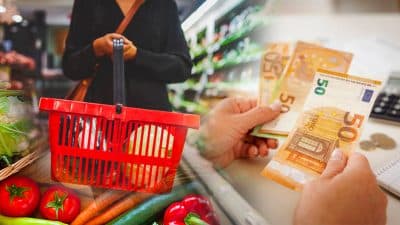 Chèque alimentaire 2024 : les conditions pour le toucher, les Français concernés