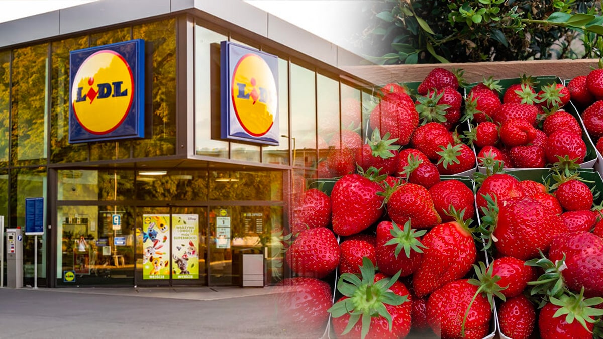 Elle achète des fraises chez Lidl, elle ouvre la barquette et fait une découverte effroyable