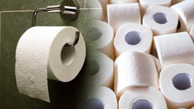 Le papier toilette, un véritable danger pour notre santé ?