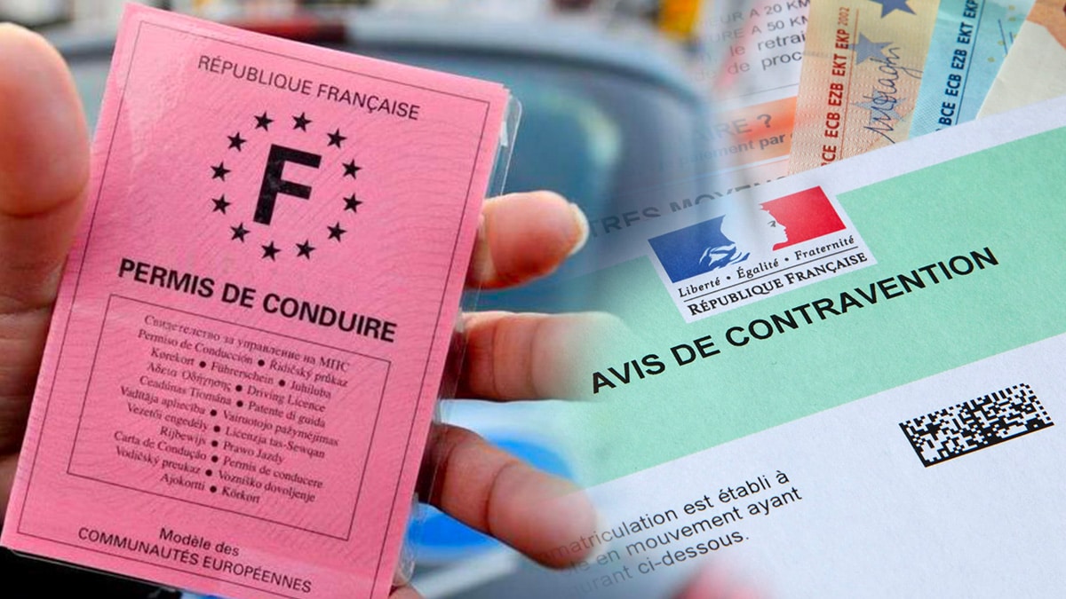 Permis de conduire : attention à l’amende si vous ne faites pas ce changement avant la date