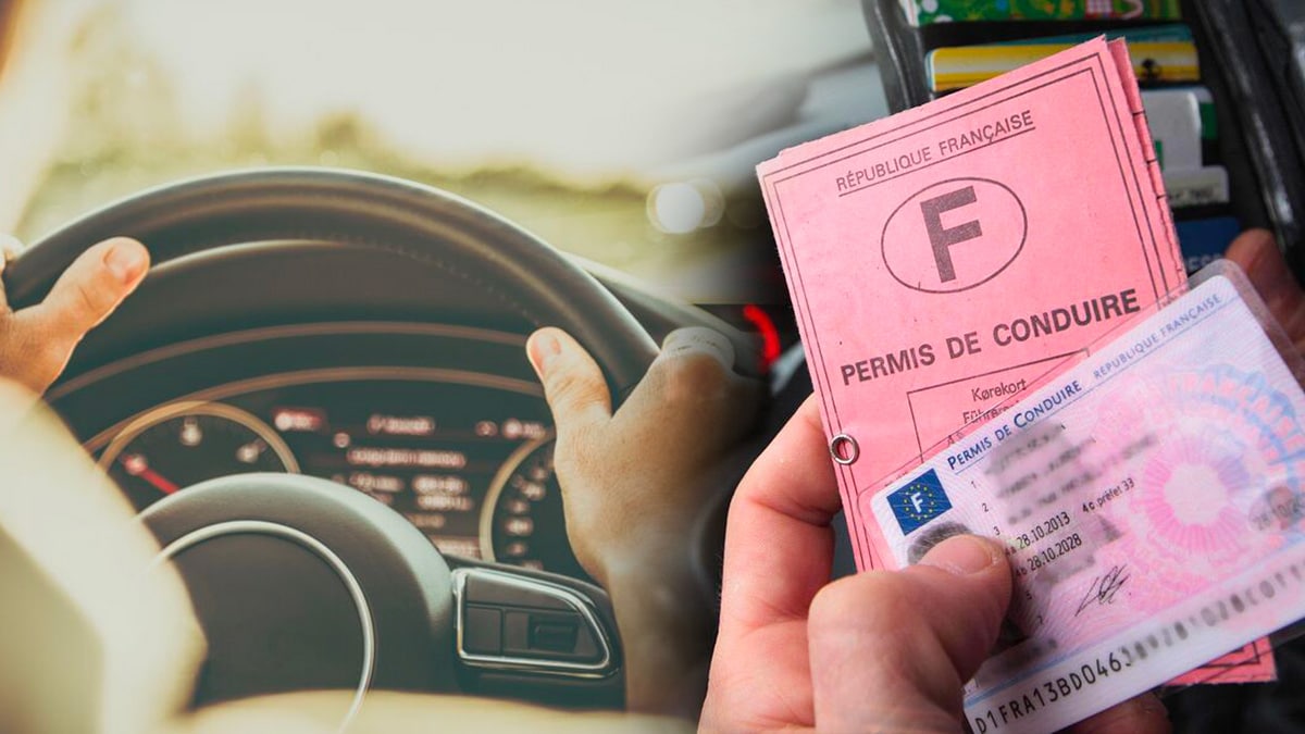 Permis de conduire : bonne nouvelle, ce changement de taille va vous changer la vie