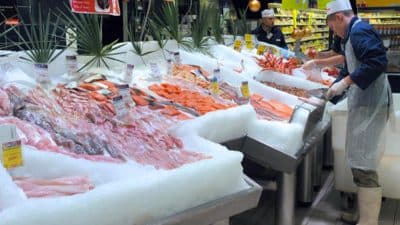 Ces poissons contaminés ne doivent surtout pas être consommés, 16 enseignes concernées