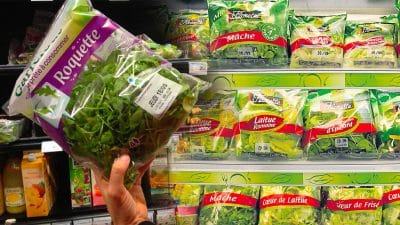 L’UFC-Que Choisir alerte sur la face cachée de la salade en sachet, une enquête horrifiante