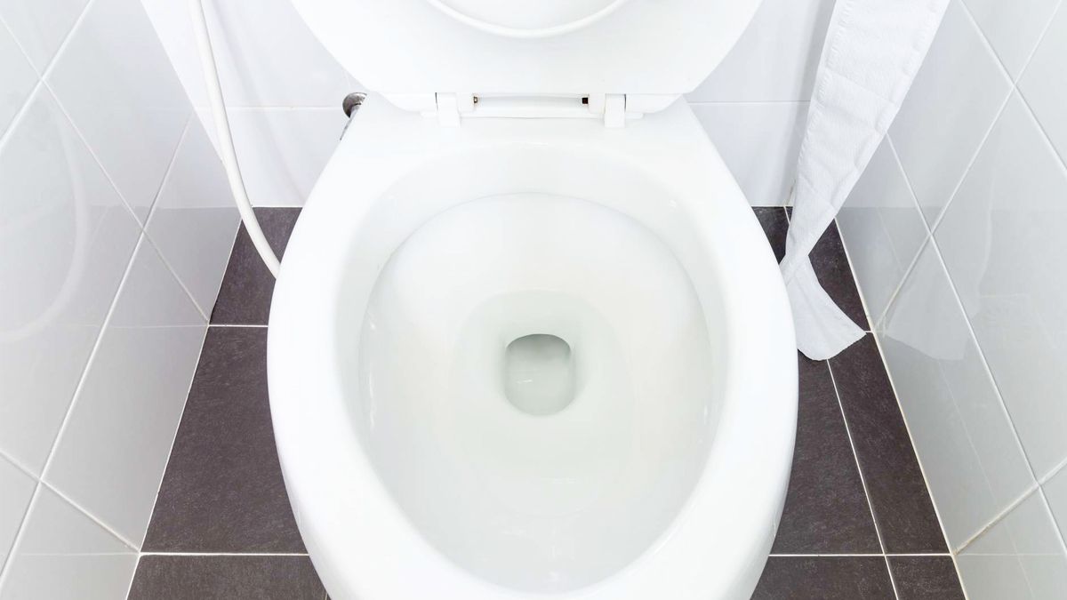 Les toilettes, c’est terminé ? Ce nouveau concept pourrait être révolutionnaire