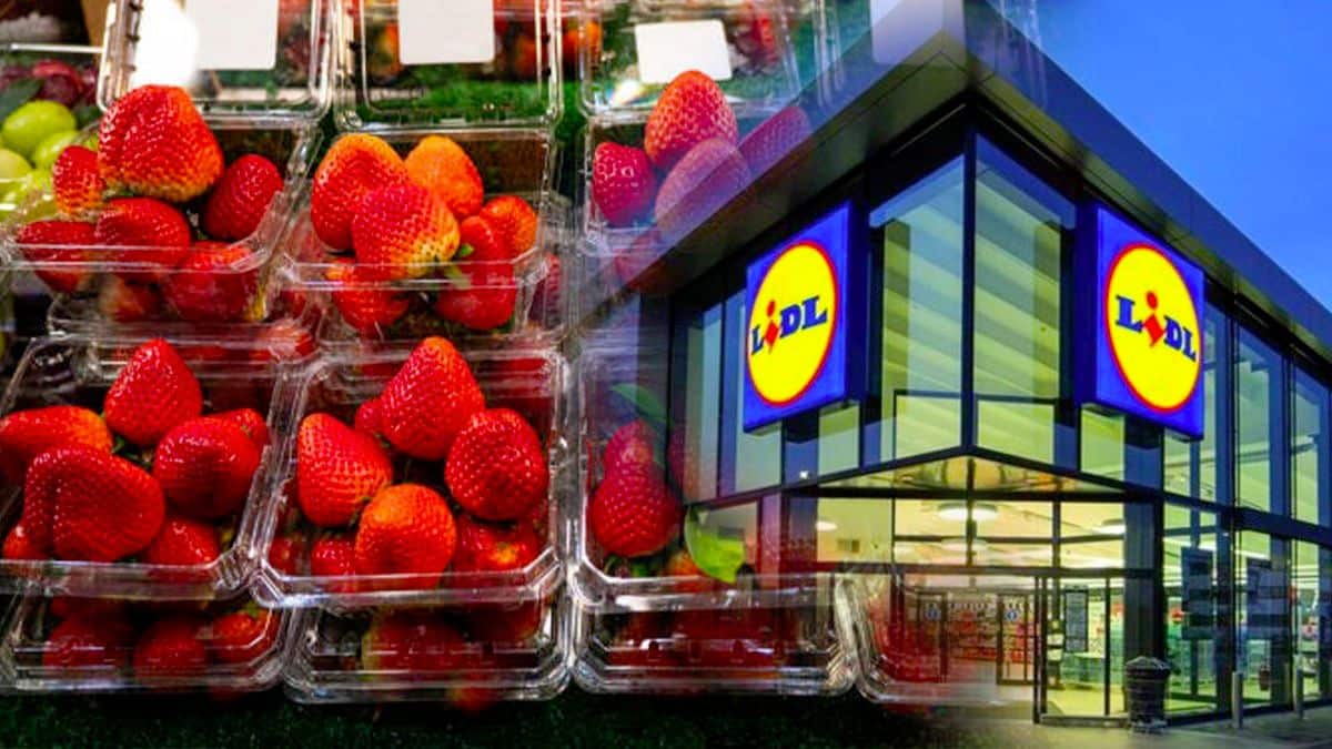 Elle ouvre sa barquette de fraises achetée chez Lidl et découvre une chose terrifiante