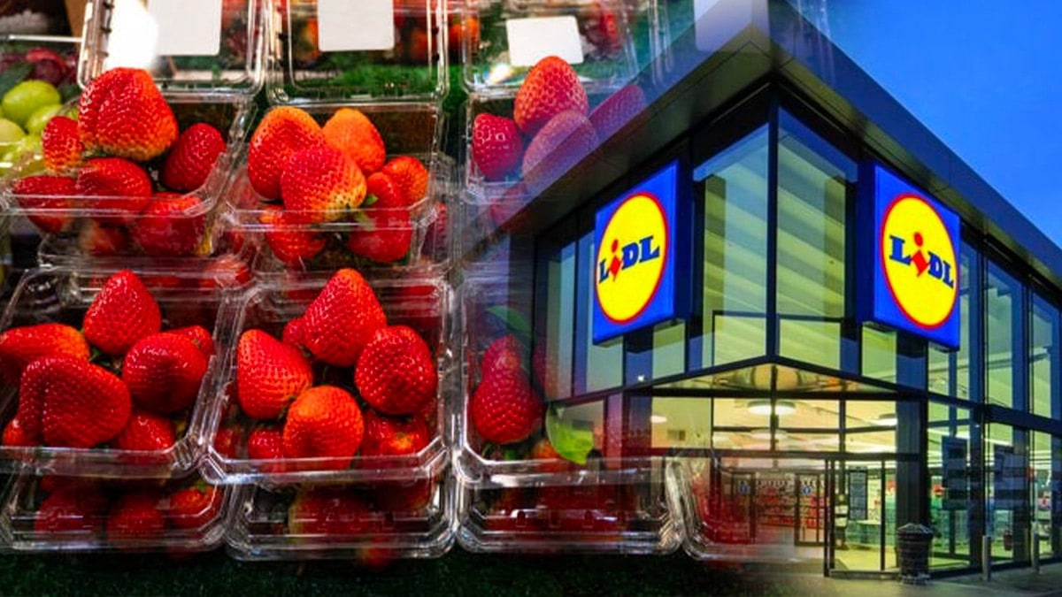 Elle ouvre sa barquette de fraises achetée chez Lidl et fait une découverte effroyable