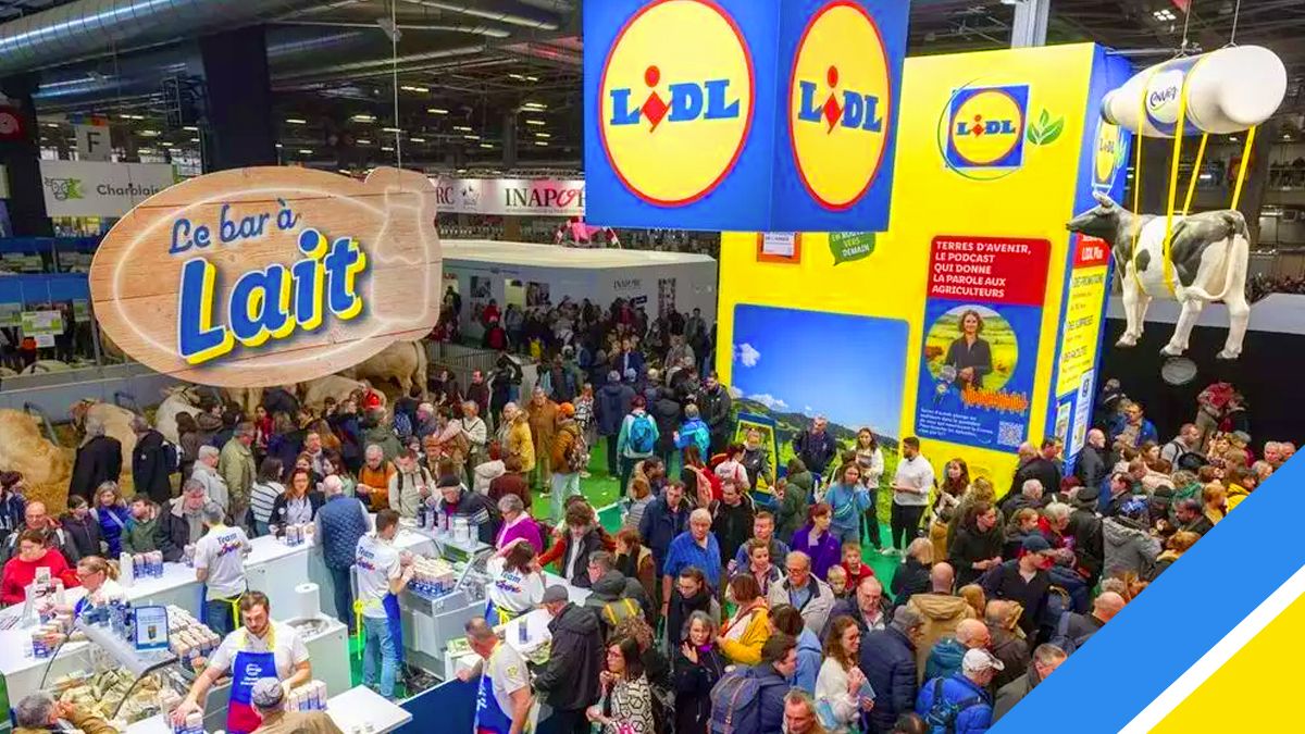 Révolution chez Lidl : l’enseigne frappe fort avec cette nouvelle gamme de produits révolutionnaires dans ses 1 600 magasins