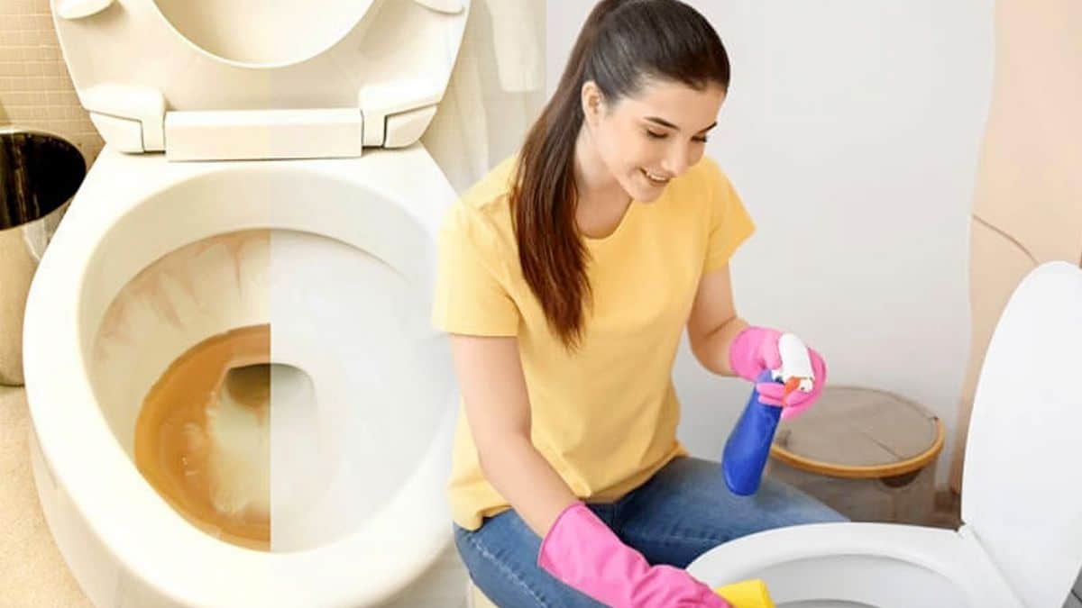 Toilettes très propres : comment préparer un nettoyant qui élimine le calcaire et les fait briller