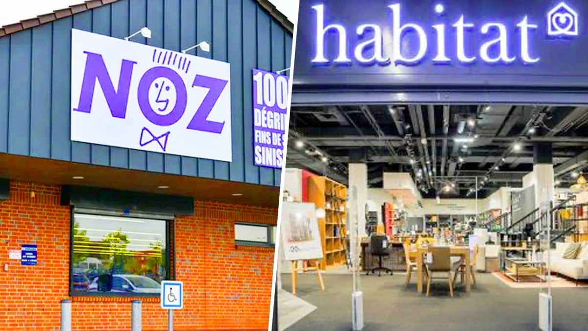 Noz frappe fort et va vendre des centaines de milliers d’articles Habitat après la liquidation des magasins