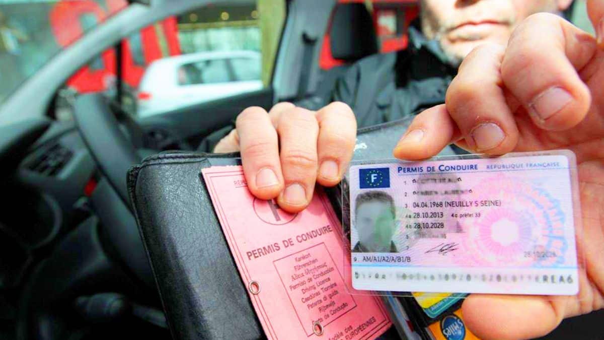 Permis de conduire : cette arnaque redoutable fait des ravages en France, soyez vigilants