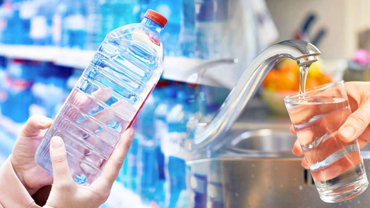 Eau du robinet ou eau en bouteille : voici laquelle vous devriez choisir pour votre santé