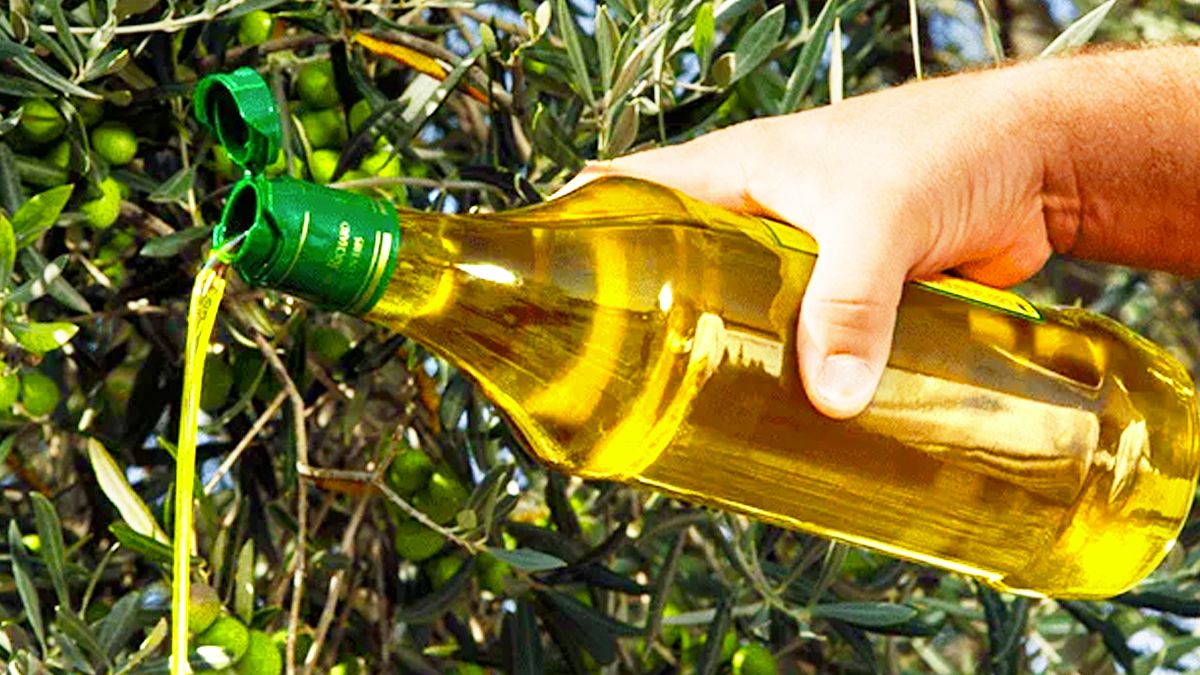 Cette huile d’olive est la meilleure de toutes pour la santé et pour la cuisiner selon les experts