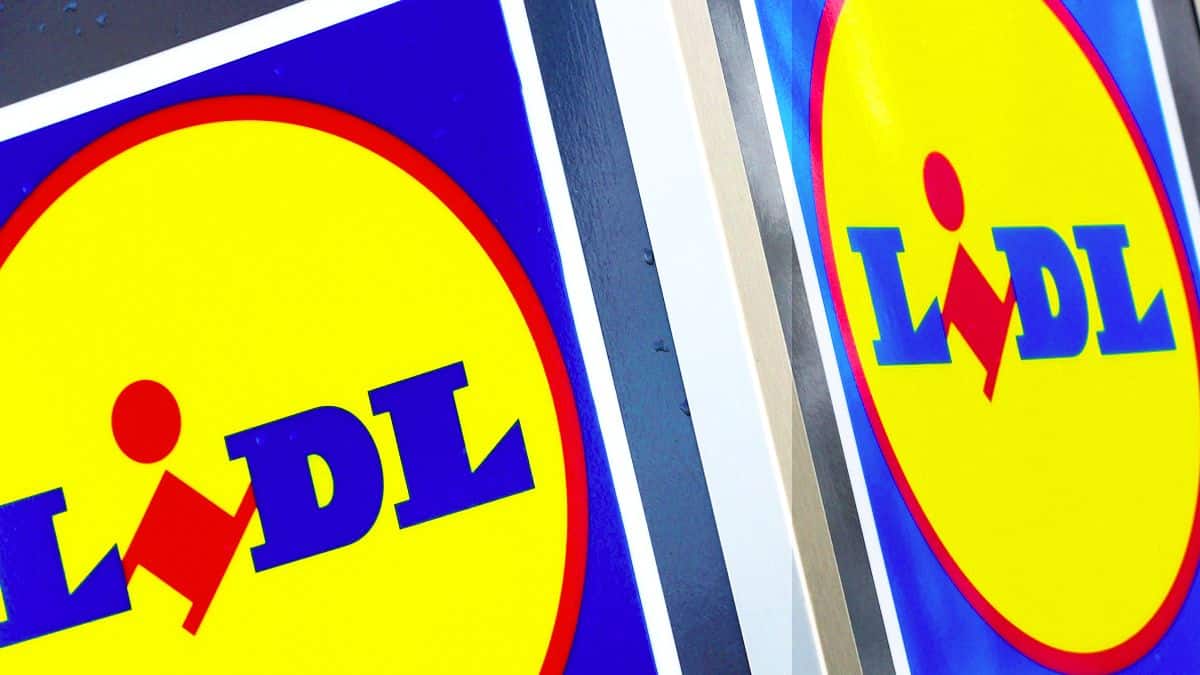 Lidl : cet indispensable pour cet été va vous changer la vie et il est à moins de 10 euros