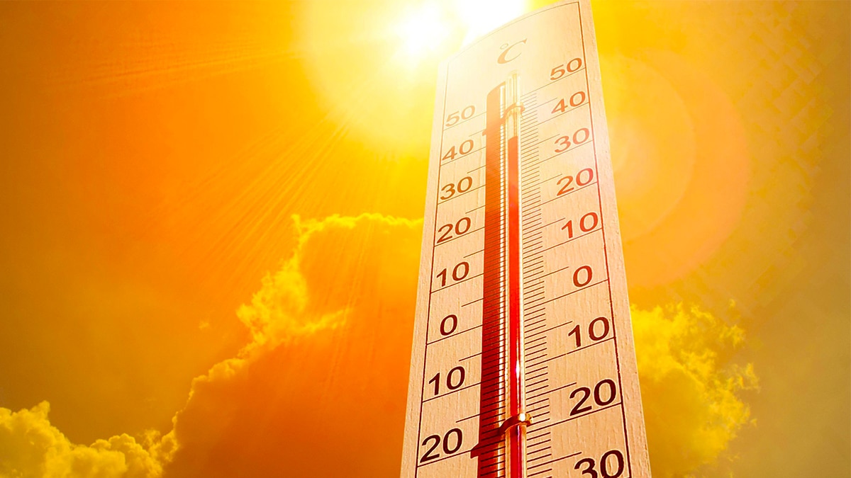 Météo : l'Europe va vivre l'été le plus chaud jamais enregistré ? Ces prévisions alarmantes