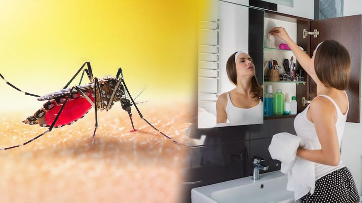 Ce produit que tout le monde a dans sa salle de bain est révolutionnaire pour tuer les moustiques