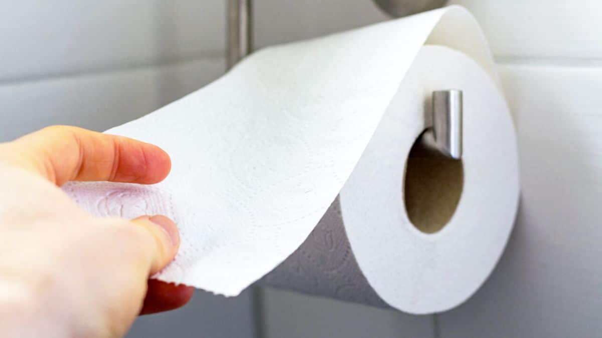 Du papier toilette avec du vinaigre : le secret magique que de plus en plus de gens utilisent
