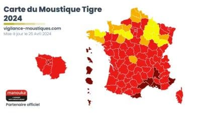 Moustique tigre : il est de retour, 90 % du territoire en vigilance, les régions concernées