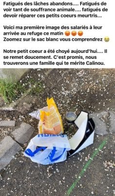 Ils trouvent un sac Action devant un refuge d'animaux, son contenu est scandaleux
