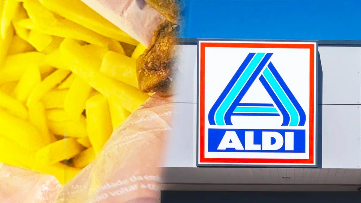 Elle se rend chez Aldi et achète des frites surgelées, elle découvre l’inimaginable dans le sachet