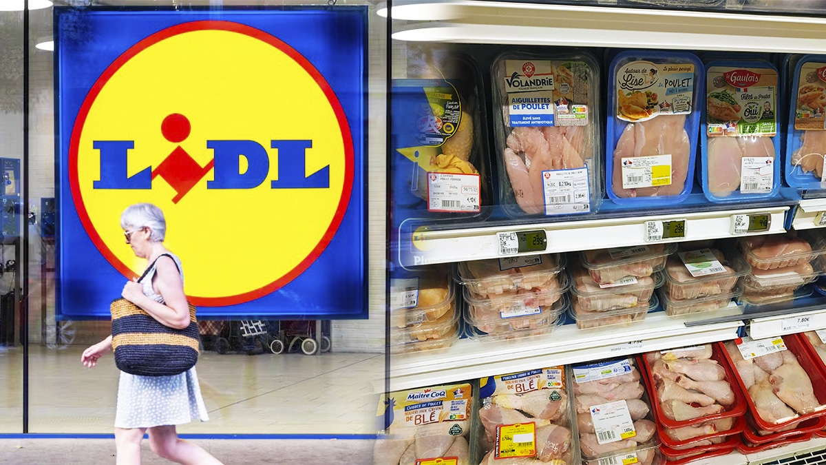 Lidl : 70% des volailles infectées par des bactéries résistances aux antibiotiques, l'étude qui crée la polémique