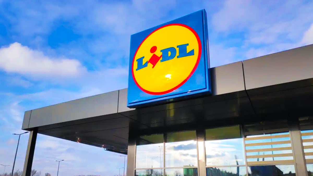 Lidl sort l’accessoire indispensable de cet été à moins 40 %, tout le monde va se l’arracher