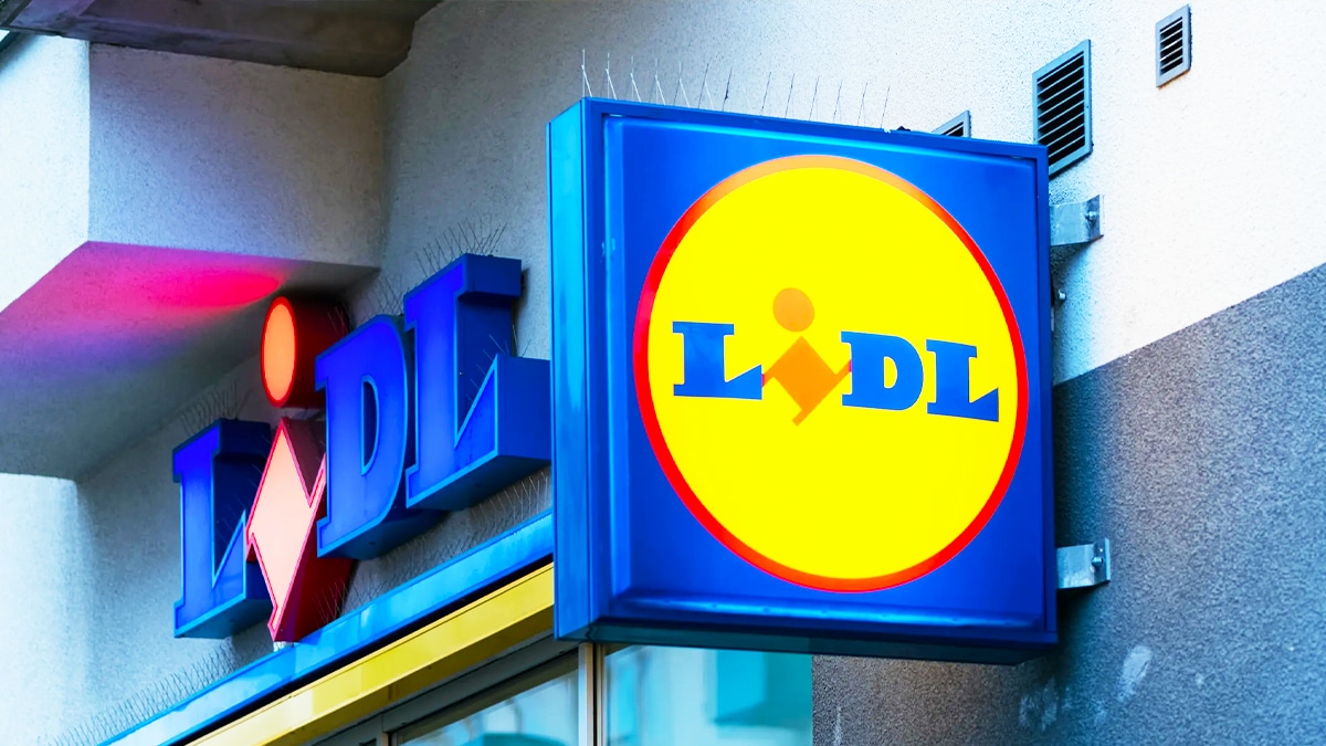 Ces produits stars de l’été vendus chez Lidl contiennent des composants toxiques, évitez-les