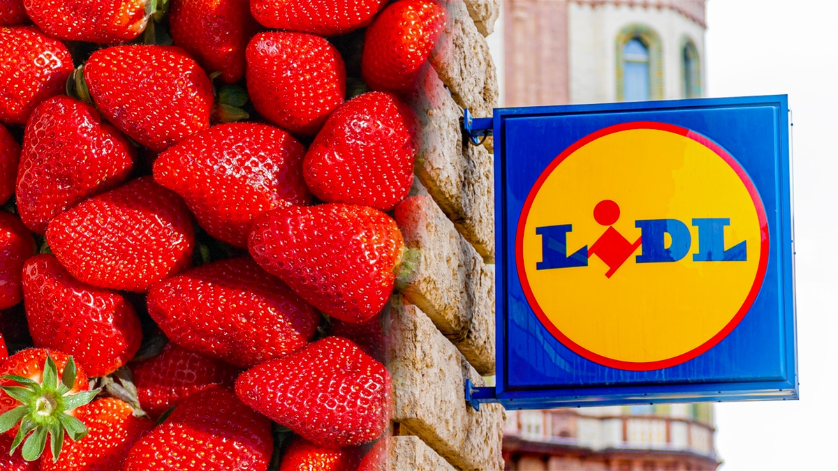 Elle achète une barquette de fraises chez Lidl et fait une découverte terrifiante dedans