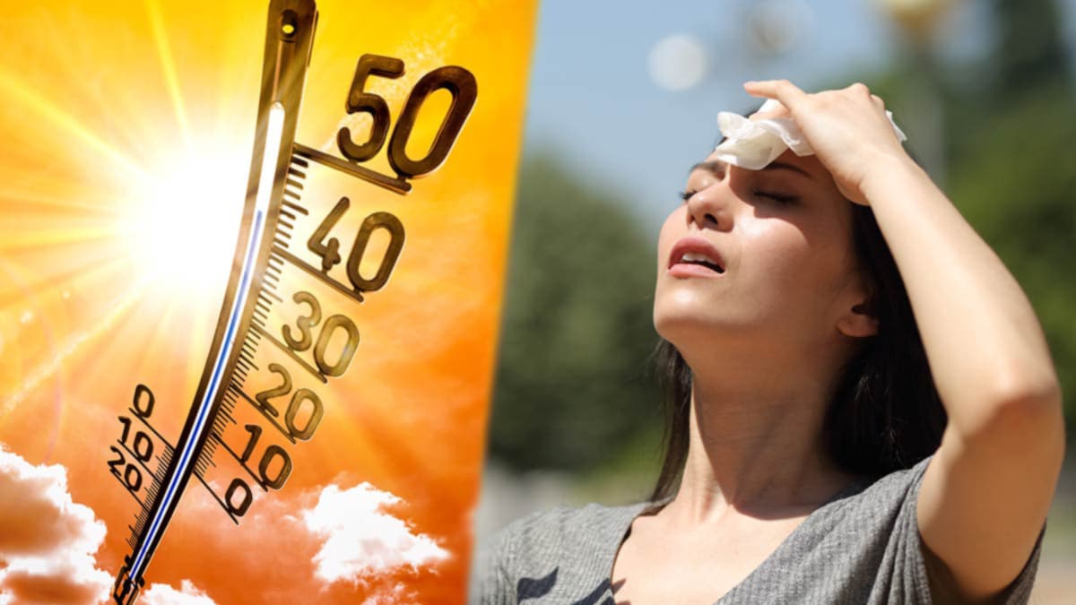Météo : la canicule va frapper de plein fouet ces régions cet été, les concernées