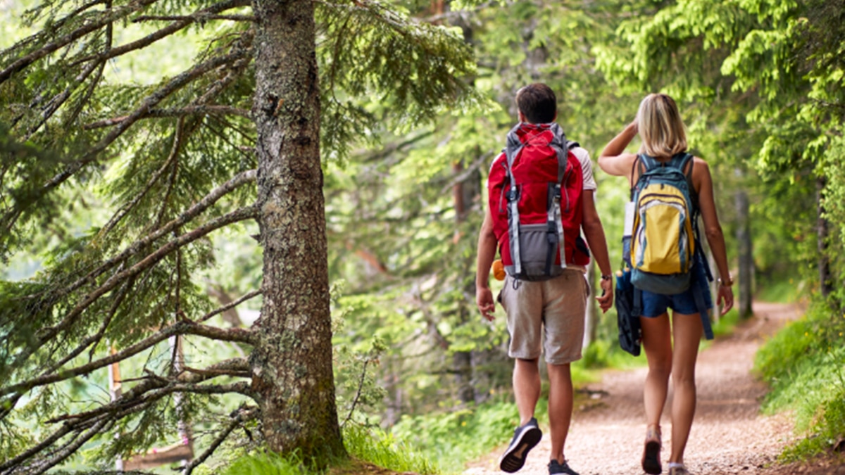 750 € d'amende si vous vous baladez en forêt cet été, méfiez-vous
