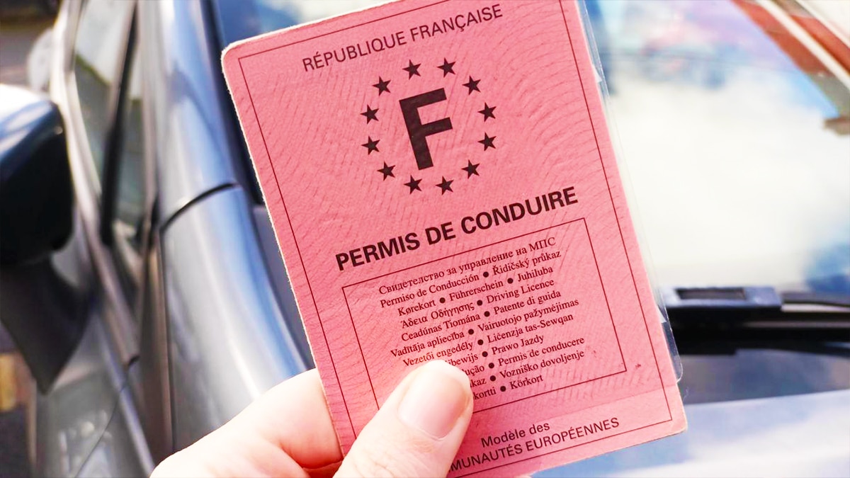 Le permis rose bientôt plus valide : la nouvelle date limite officielle à ne surtout pas manquer