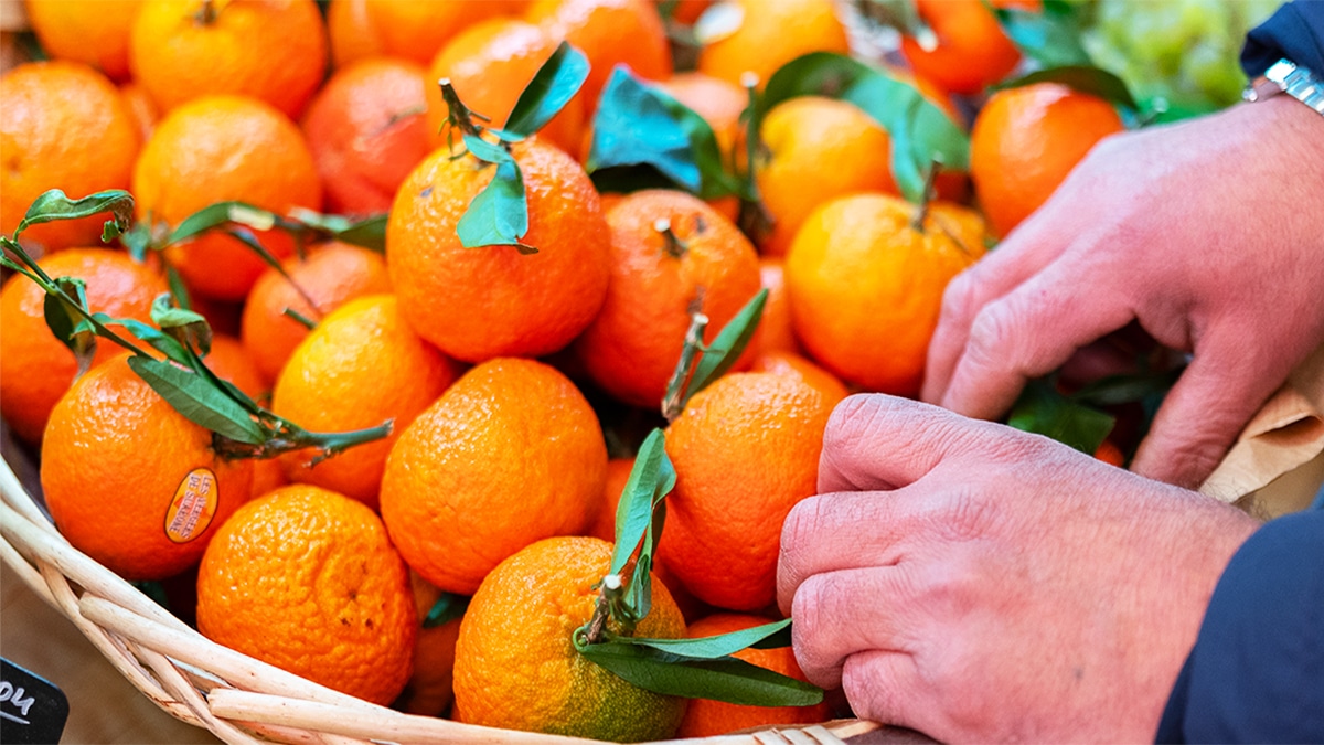 87% des clémentines sont contaminées par les pesticides : la liste des fruits et légumes à éviter à tout prix