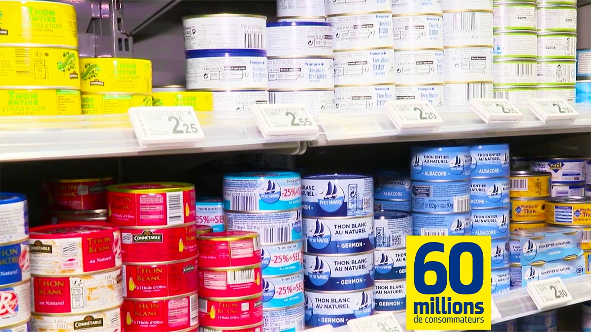 60 Millions de consommateurs alerte sur cette marque de thon qui contient 10 fois plus de mercure que la limite autorisée