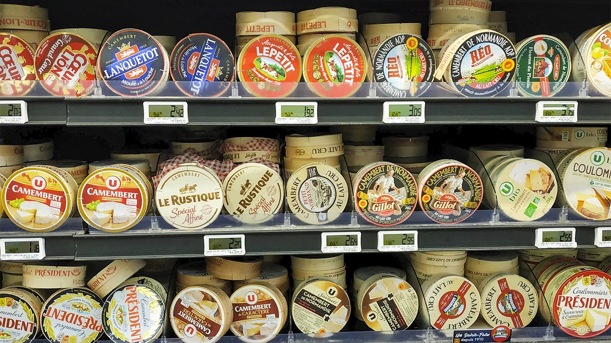 Ces camemberts sont les meilleurs de France, ils ont été médaillés au Salon de l’Agriculture