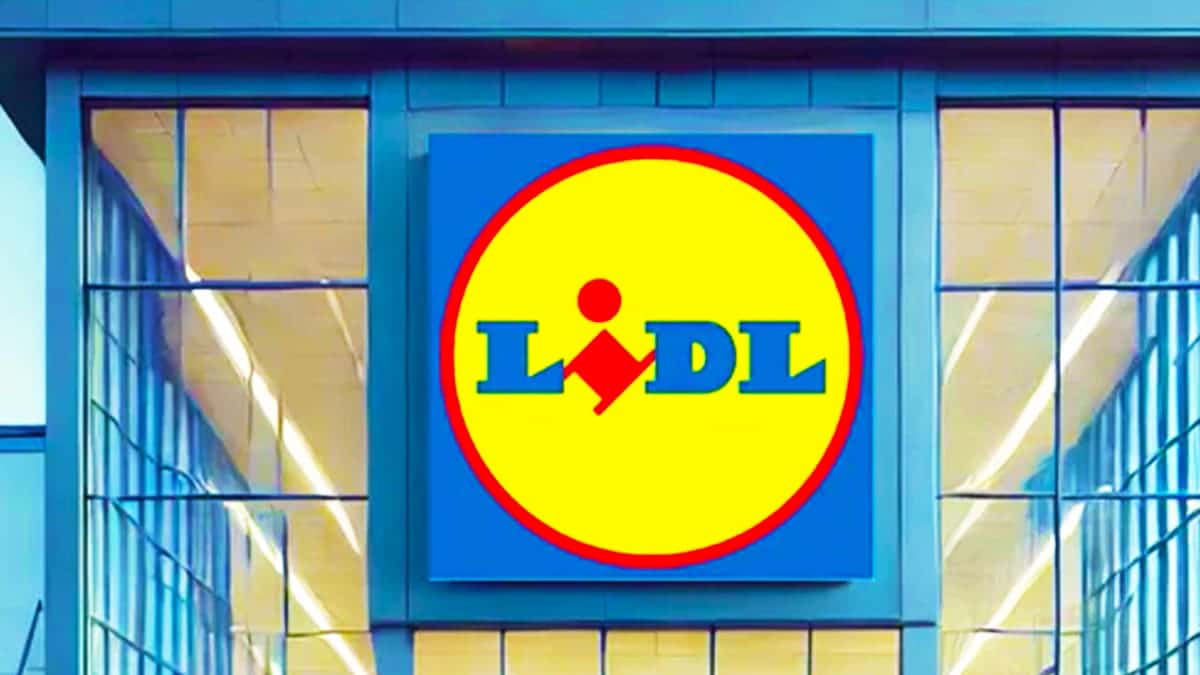Lidl épinglé par la DGCCRF pour ses pratiques trompeuses : l’amende colossale due par l’enseigne