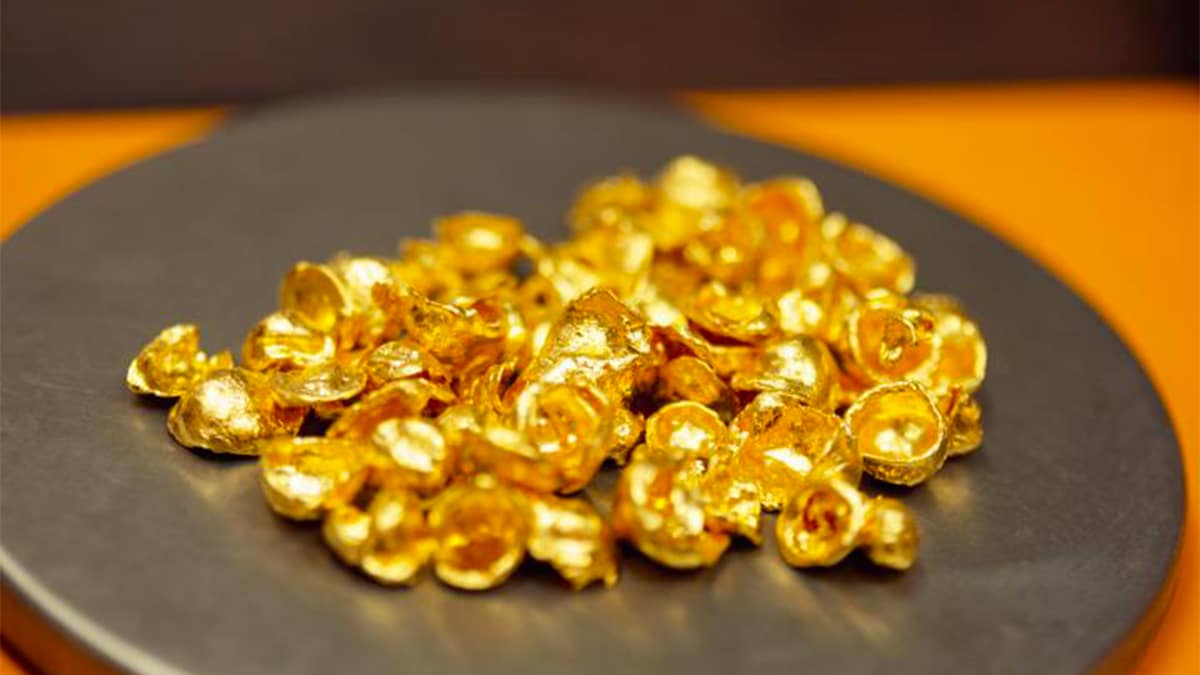 Ces 3 appareils électroménagers que nous jetons tous cachent de l’or 22 carats