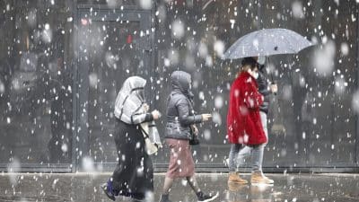 Météo : les tendances prévues pour les ponts du mois de mai, selon des experts