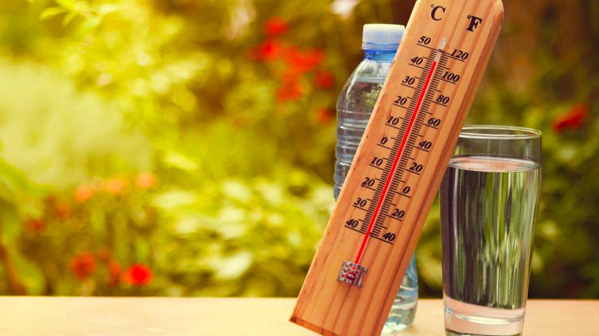 Météo : une vague de très forte chaleur débarque en France, ce n’est pas une si bonne annonce, voici pourquoi