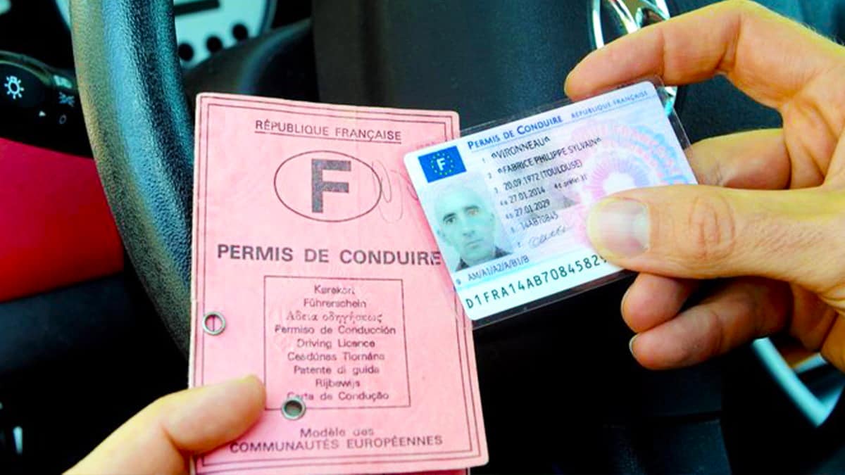 Permis de conduire : ces raisons méconnues qui peuvent vous obliger à repasser le Code de la route