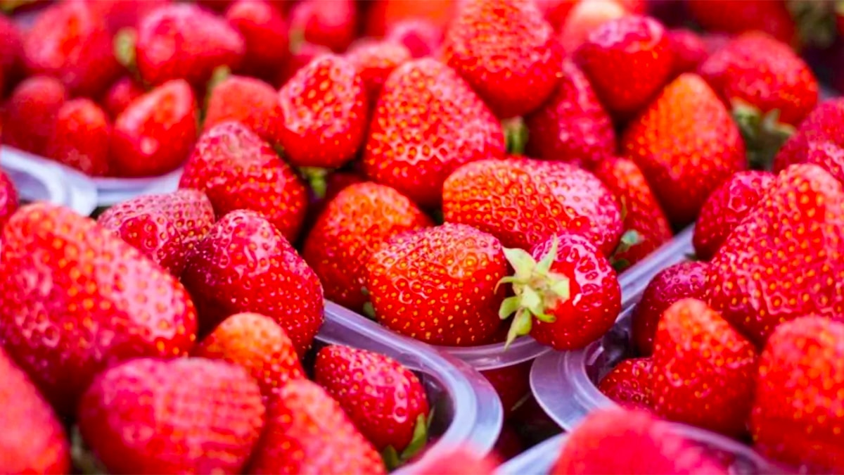 Ces fraises vendues en supermarché sont garanties sans pesticides